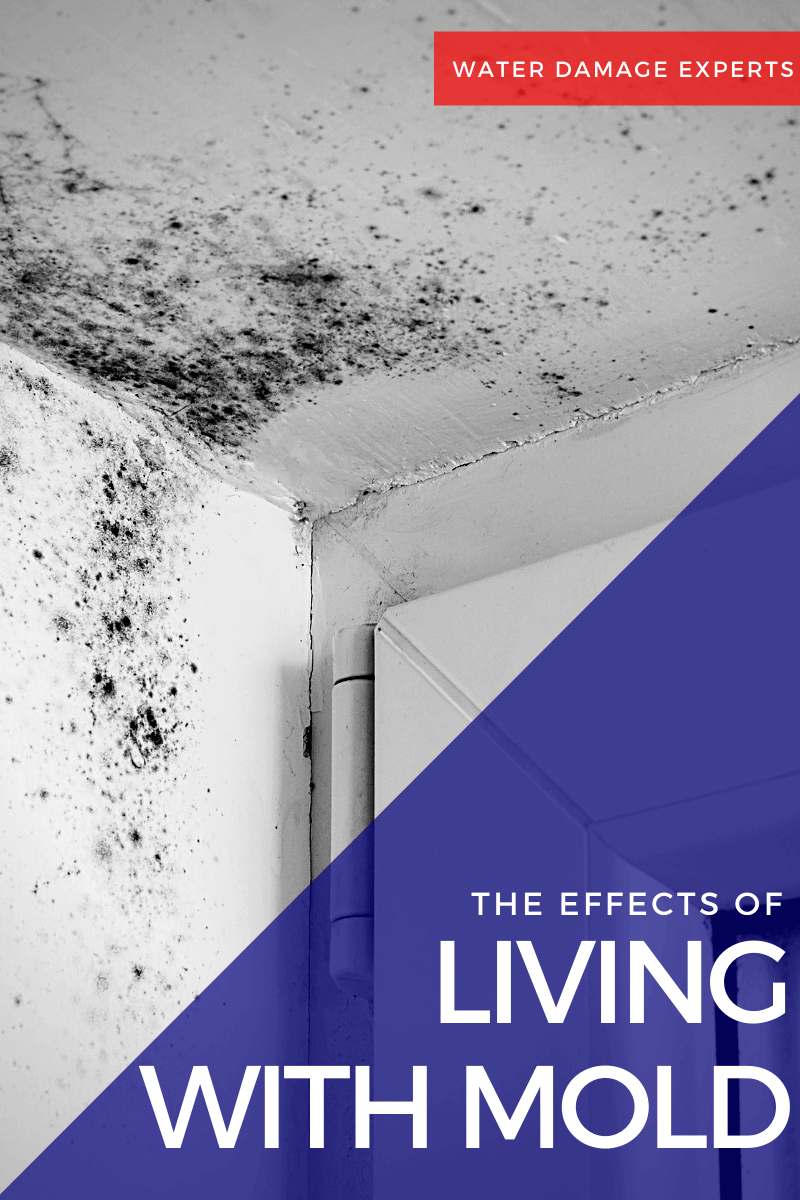 Health Effects of Living with Mold