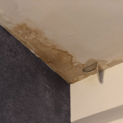3 signs of mold in your home