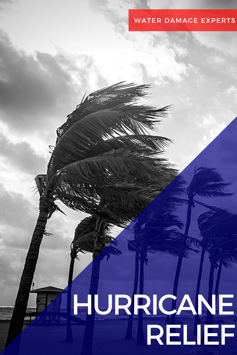 Hurricane Relief from Wet Out Restoration