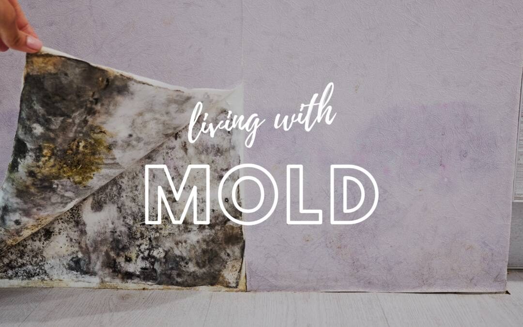 8 Effects of Living with Mold