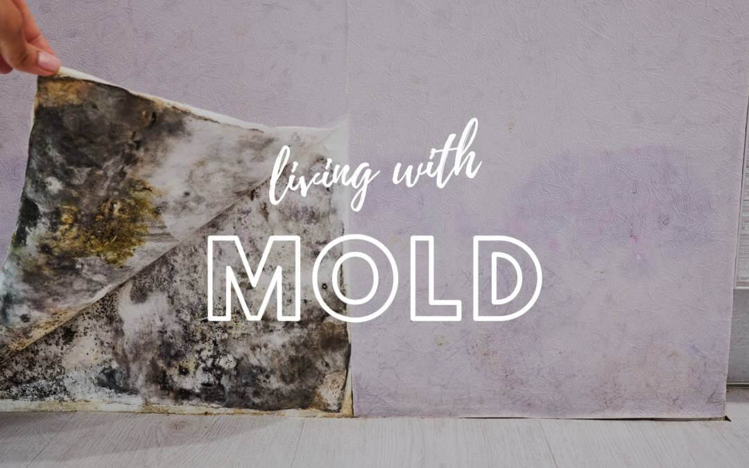 A Living With Mold Template With a Dirty Rag