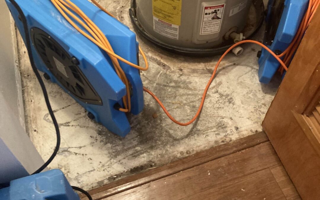 Common Causes of Holiday Water Damage and How to Avoid It - Wet Out Restoration